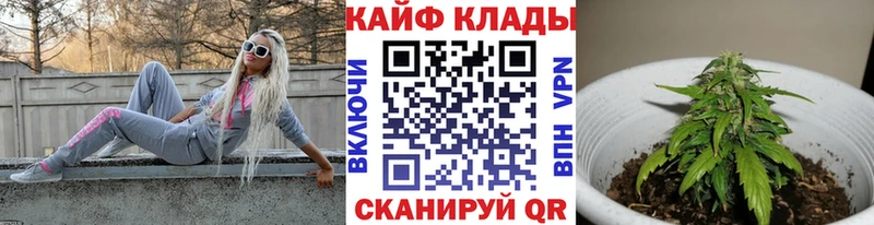 Виды наркоты Кологрив Кокаин АМФЕТАМИН МАРИХУАНА