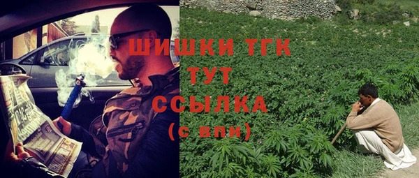 шишки Аркадак