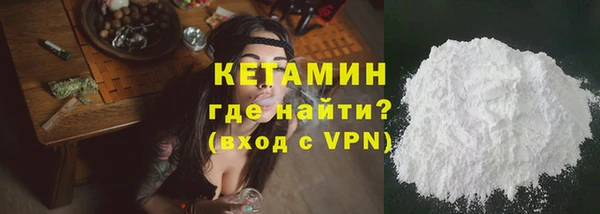 шишки Аркадак