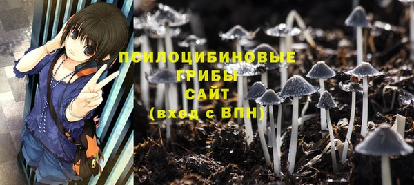шишки Аркадак
