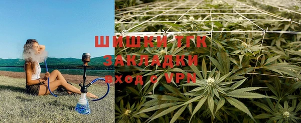 шишки Аркадак