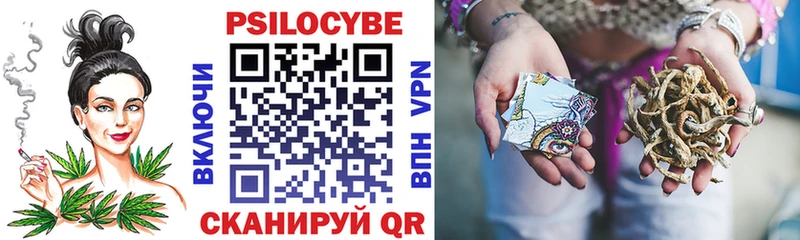 где можно купить   Кологрив  Псилоцибиновые грибы Cubensis 